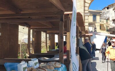 Fiera dell’agricoltura 2024