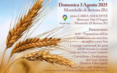 Trebbiatura di grani antichi