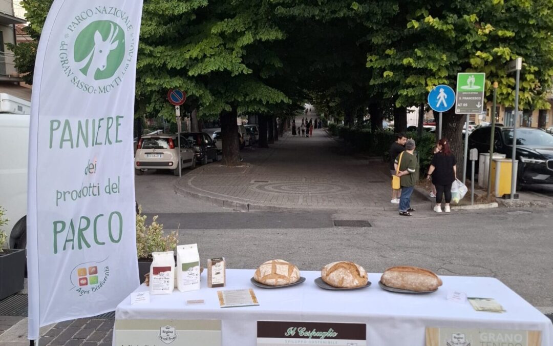Manifestazione Paniere del parco
