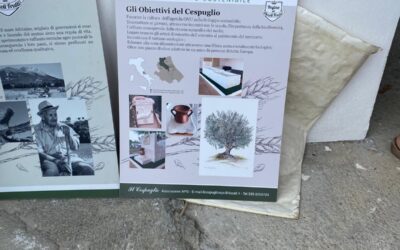 Il Cespuglio presente alla trebbiatura tradizionale: “Come imparare dal passato per promuovere lo sviluppo sostenibile futuro” – 3 Agosto 2025